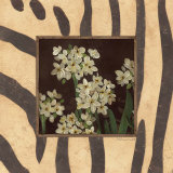 Paperwhites II