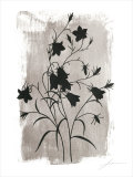 Silver Shade II