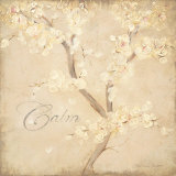 Calm