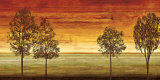 Sunset Vista II