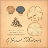 Sand Dollars