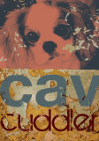 Cavalier Cuddler