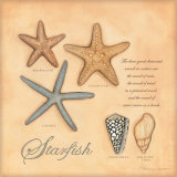 Starfish