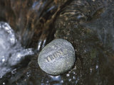 Stone with Word Trust in Water of Tranquil Stream