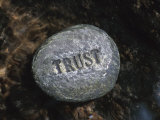 Stone with Word Trust in Water of Tranquil Stream