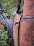 Rusty Old Car Decaying and Overgrown in Junkyard