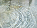 Light Reflecting Off Rippling Water