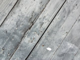 Close-Up of Weathered Wooden Surface