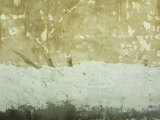 Close-Up of Weathered and Rundown Cement Wall