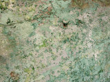 Close-Up of Textured Turquoise Wall