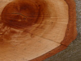Close-Up of the Cross Section of a Split Log
