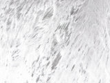 Abstract White Background of Frozen Ice and Snow