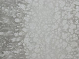 Abstract Splatter Pattern in Gray