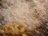 Brush Strokes in Brown Paint