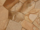 Light Brown Random Shaped Marble Pieces with Swirling Designs
