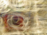Motion Blur of Wispy Pattern in Earthtones
