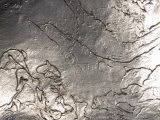 Texture of Shiny Metal Surface