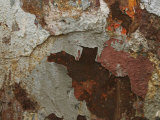 Peeling and Flaking Paint on a Rusted Steel Surface