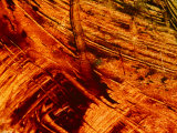 Fiery Orange Paintbrush Strokes