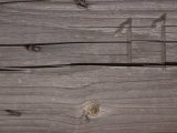 Number on Cracked Wood