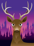 Portrait of Deer with Antlers at Sunset
