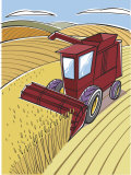 Harvester Plowing Wheat Field