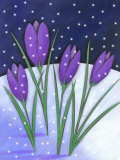 Crocus Flowers Blooming in Snowfall