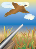Duck Hunting