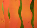 Wavy Orange Object Background