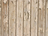 Weathered and Cracked White Painted Wood Plank Wall