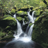 Water Rushing Down Cascading Moss-Covered Waterfall