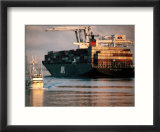 Port of Oakland  Container Ship at Dock  Oakland  California
