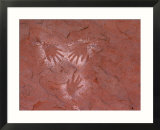 Handprints Painted on a Rock Wall by the Ancient Pueblo People  Also Known as the Anasazi