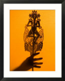 Theatre Display of Balinese Shadow Puppets or Wayang  Ubud  Bali  Indonesia