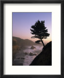 Scenic View of the Oregon Coast at Twilight