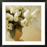 White tulips in vase