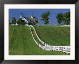 Double White Fence Flows from an Elegant Horse Barn  Woodford County  Kentucky  USA