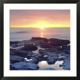 Sunset Cliffs Tidepools on the Pacific Ocean Reflecting the Sunset  San Diego  California  USA