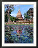 The Lotus Pond and Stupa in Sukhothai Historical Park  Thailand