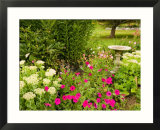 Birdbath and Flowers  Oakland House Seaside Resort  Brooksville