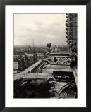 Detail of a Terrace with Monstrous Figures  Cathedral of Notre-Dame  Paris