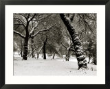 Queens Park Manchester in the Winter