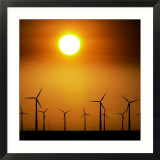 A Group of Wind Turbines are Silhouetted by the Setting Sun