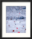 Downhill Ski Race