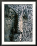 Face of 14M Long Reclining Image of Buddha  Polonnaruwa  North Central  Sri Lanka