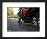 Low Angle View of Horse-Drawn Carriages in Central Park