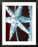 Christmas Decoration Sheet Music