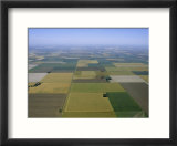 Aerial of Agricultural Fields