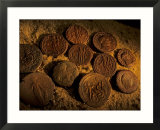 Bronze Coins from Greco-Roman Period Portray Cleopatra VII  Greco-Roman  Egypt