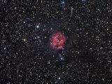 Cocoon Nebula